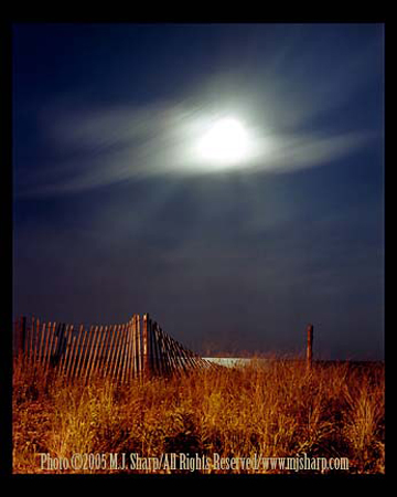 The Late Moon (Avalon,NJ)