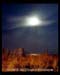 The Late Moon (Avalon,NJ)