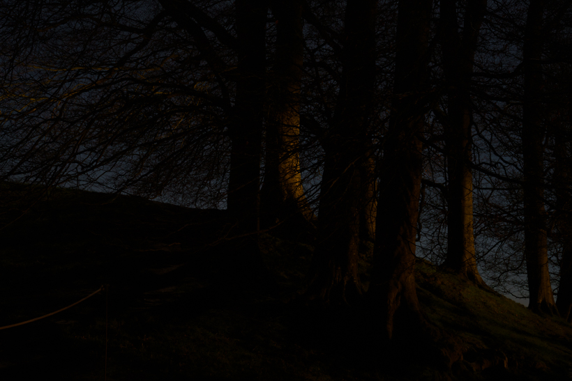 Avebury_Trees/Headlight